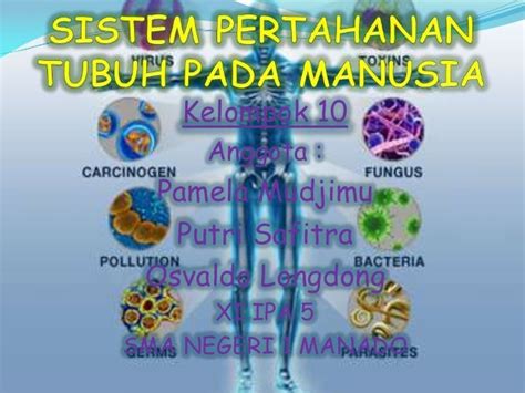 Sistem Kekebalan Tubuh Manusia