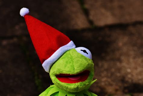 1280x1024 wallpaper | kermit the frog plush toy | Peakpx