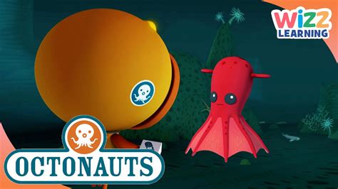 @Octonauts - The Little Vampire Squid | Cartoons for Kids | Wizz Learning - YouTube