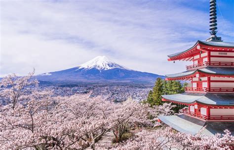 The Shrine with the Best View of Mount Fuji | All About Japan