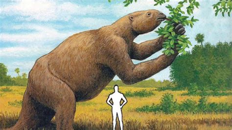 Giant 5-Ton Sloth Inhabited Costa Rica’s Territory 7 Million Years Ago | Paleontology World