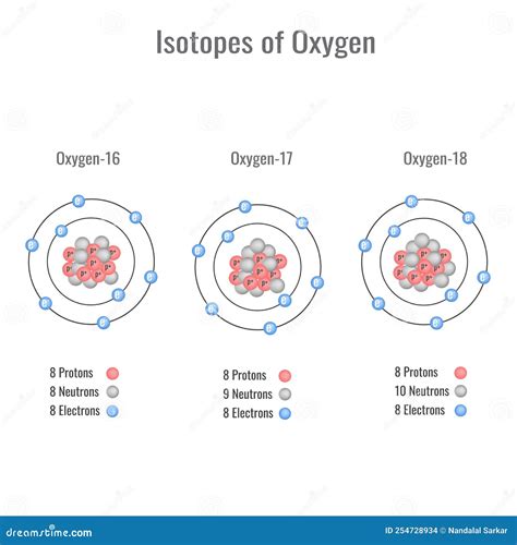 Isotopes of Oxygen Vector Illustration Stock Vector - Illustration of atomic, education: 254728934