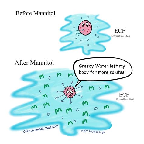 Mannitol and ECF expansion - Creative Med Doses