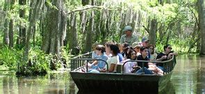 Original Honey Island Swamp Tour | New Orleans, Louisiana