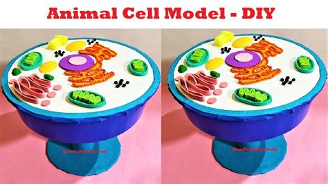 Top 136 + How to make an animal cell model - Inoticia.net