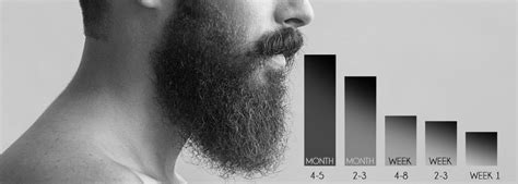 The Stages Of Beard - Brooklyn Grooming