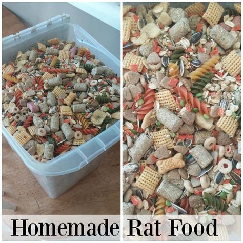 Homemade Rat Food for People who Love Rats as Pets