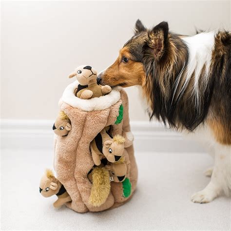 5 Toys All Dogs Should Have In Their Dog Toy Box