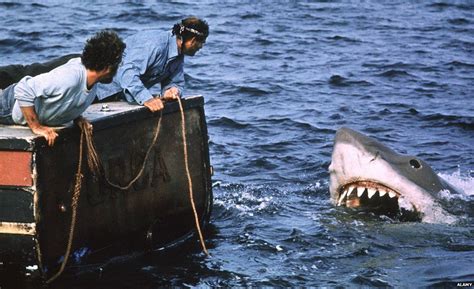 How Jaws misrepresented the great white - BBC News