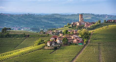 Barolo & Barbaresco Wine Tours » The Wine of Kings, The King of Wines ...