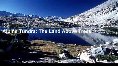 Alpine Tundra Biome - YouTube