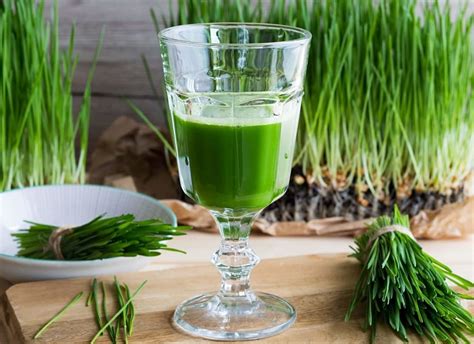 Wheatgrass Juice 101: Benefits, Top Uses, Side Effects, More