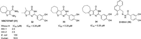 The allosteric RNase H inhibitors. | Download Scientific Diagram