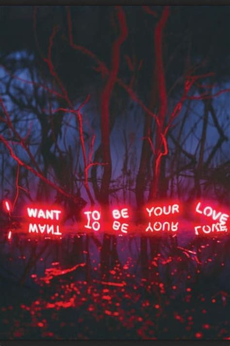 Neon lights | Señal de neón, Frases de neón, Frases brillantes