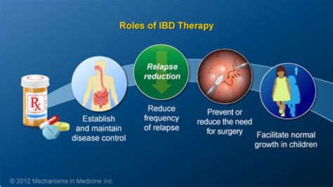 Slide Show - Understanding the Risks and Benefits of IBD Therapies