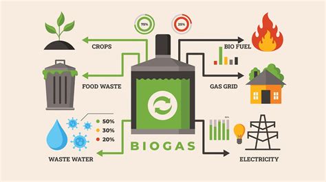 What is Biogas? Everything You Need to Understand - Tech Quintal