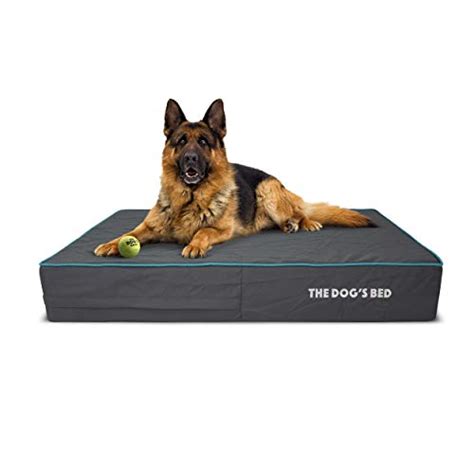 Compare price to kong dog beds extra large | TragerLaw.biz