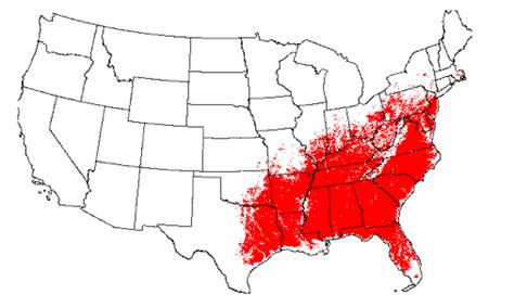 Wolf Spider Habitat Map