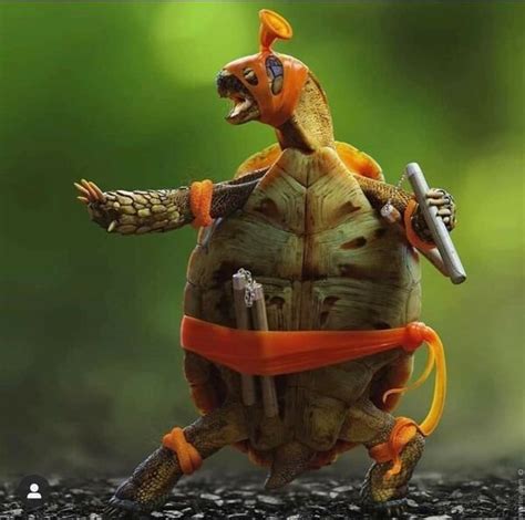 COWABUNGA! Tonight we dine on Ninja Turtle nostalgia