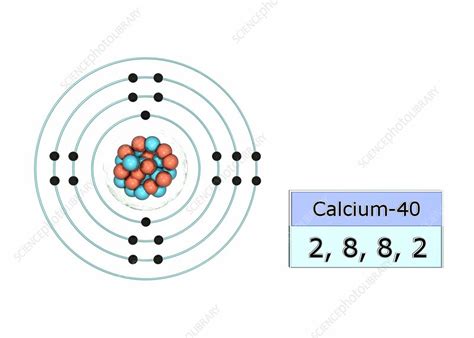 Calcium electron configuration - Stock Image - C029/5027 - Science Photo Library