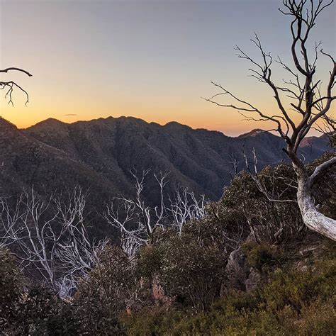 Hiking Mount Howitt in the Victorian Alps | Snowys Blog