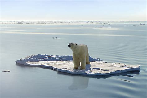 Climate Change in Polar Regions - Greenability Magazine