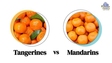 Tangerines vs. Mandarins: The Sweet Showdown of Similarities and Differences!