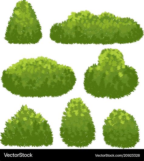 Nature hedge garden green bushes cartoon shrub Vector Image