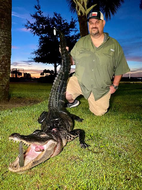 Alligator Hunting - Central Florida - Outdoor Activities - Gatorhunts