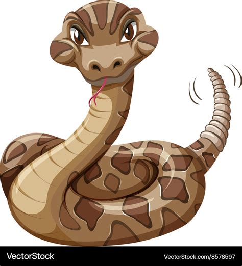 Rattlesnake on white background Royalty Free Vector Image