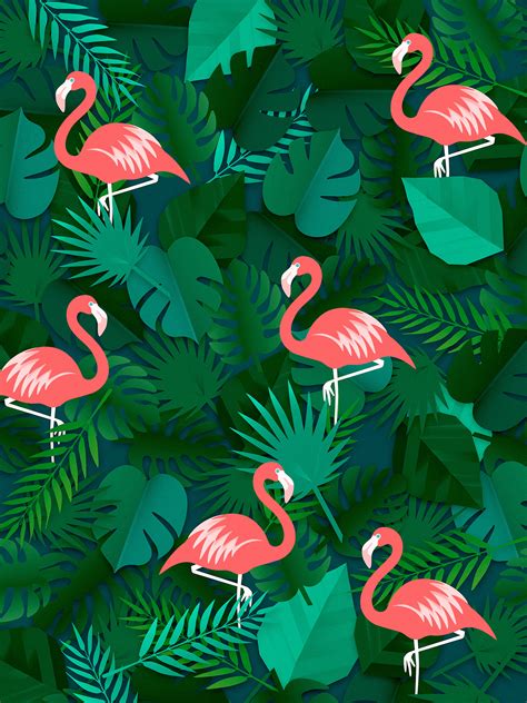 Flamingo Android Wallpapers - Wallpaper Cave