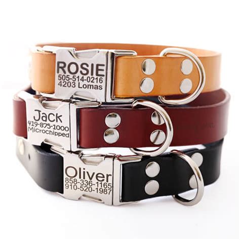 Personalized Reflective Martingale Dog Collar