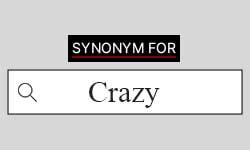 Crazy Synonyms | Best Synonyms for Crazy