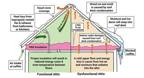 Types of Attic Insulation/Modular Homes