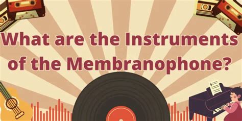 What are the Instruments of the Membranophone? - All For Turntables