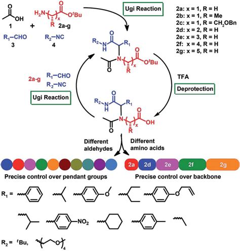 Synthesis strategy towards sequence-defined poly(amino acid)s via amino... | Download Scientific ...