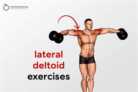 Best Lateral Deltoid Exercises for Broader Shoulders (+Workout)