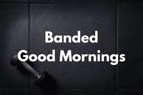 Banded Good Mornings (How To, Muscles Worked, Benefits) – Horton Barbell