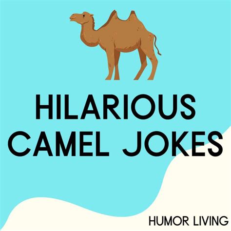 55+ Hilarious Camel Jokes to Get You Through Hump Day - Humor Living