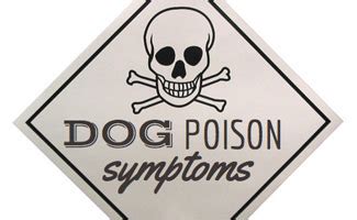 Watch Out for these Symptoms of Dog Poisoning