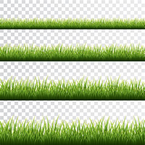 Green grass border set on white background. Vector Illustration 23804553 Vector Art at Vecteezy