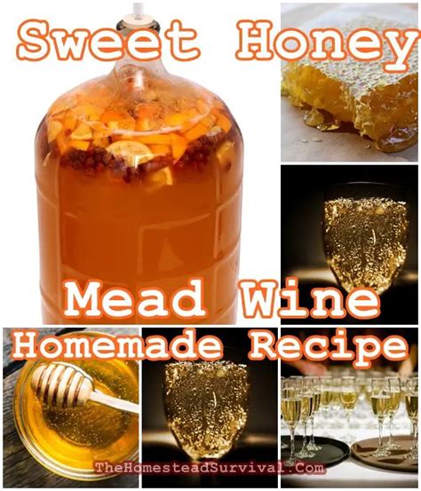 Sweet Honey Mead Wine Homemade Recipe - The Homestead Survival