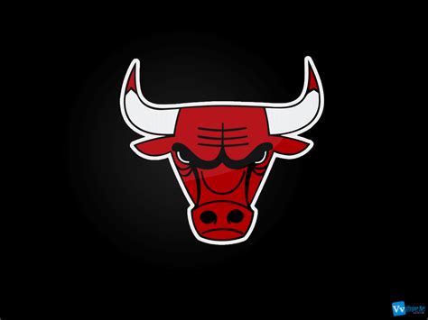 NBA Chicago Bulls Basketball Team Logo HD Wallpapers Download Free Wallpapers in HD for your Desktop