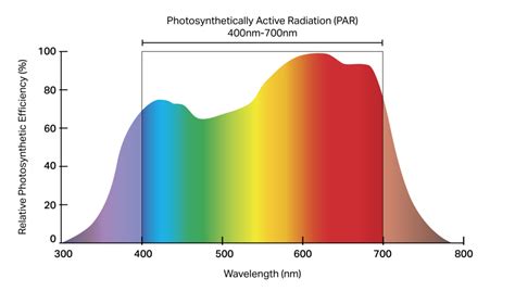 Grow Light Spectrum Explained: Ideal LED Spectrum for Plants