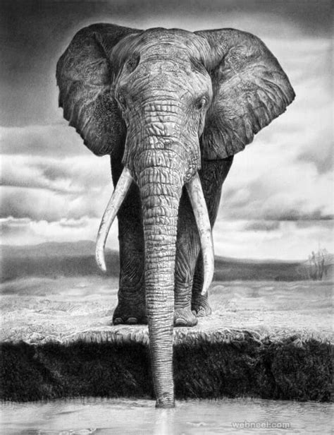 26 Stunning drawings of animals Made From Pencil And Paper