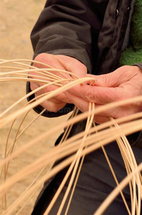 Basket Weaving Starts Here with Varying Sizes of Wood Strips Stock Photo - Image of ...