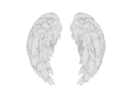 White angel wings PNG