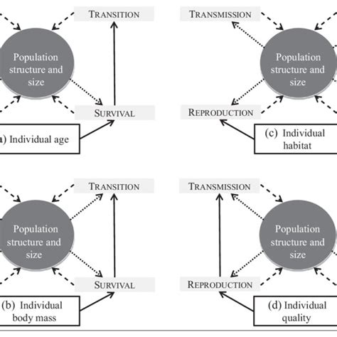 (PDF) Integrated population models: powerful methods to embed ...