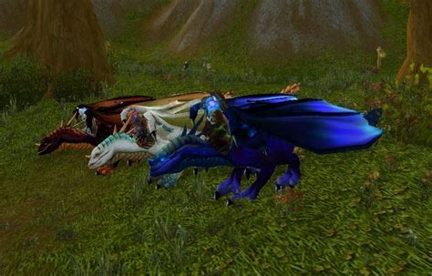 Mounts - Skill - World of Warcraft