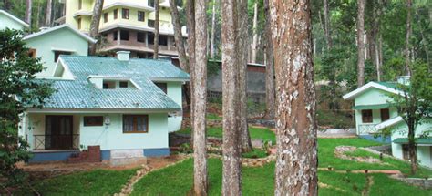 22 Lavish Cottages In Munnar For Homelike Comfort In 2023!